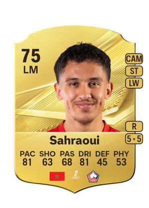 Sahraoui 75 LM