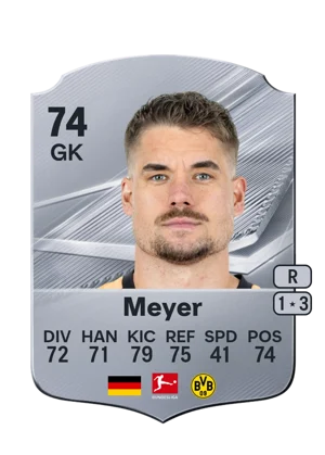 Meyer 74 GK
