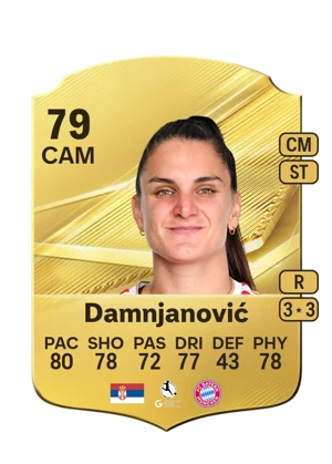 Damnjanović 79 CAM