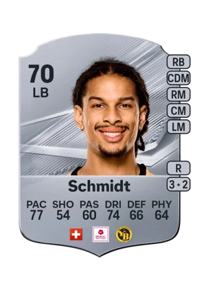 Schmidt 70 LB