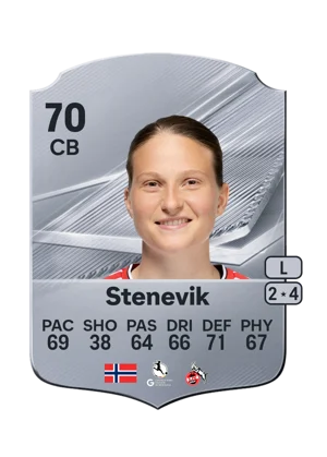 Stenevik 70 CB