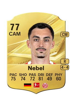 Nebel 77 CAM