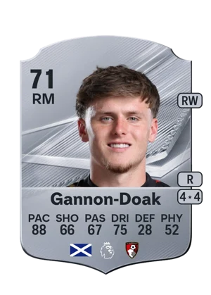 Gannon-Doak 71 RM