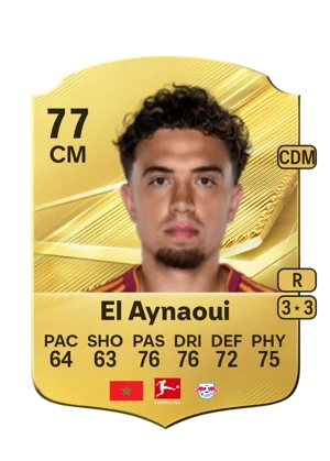 El Aynaoui 77 CM