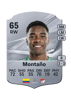 Montaño 65 RW