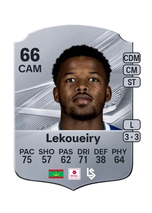 Lekoueiry 66 CAM