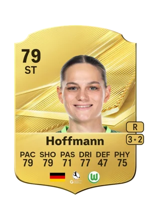 Hoffmann 79 ST