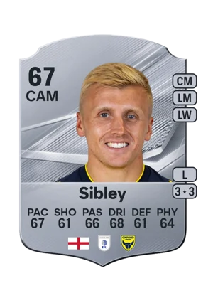 Sibley 67 CAM