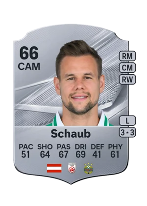 Schaub 66 CAM