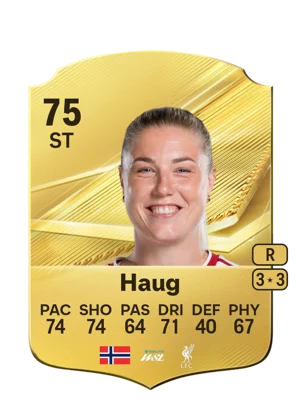 Haug 75 ST