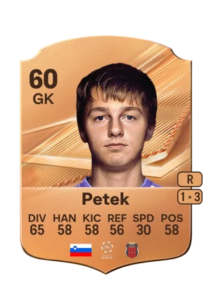 Petek 60 GK