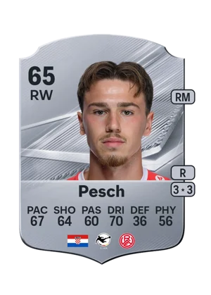 Pesch 65 RW