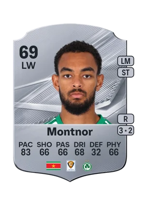 Montnor 69 LW