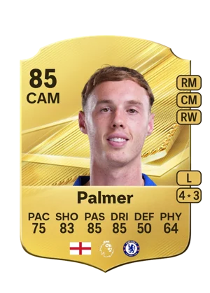 Palmer 85 CAM