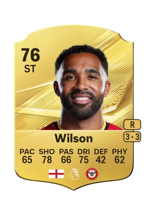 Wilson 76 ST