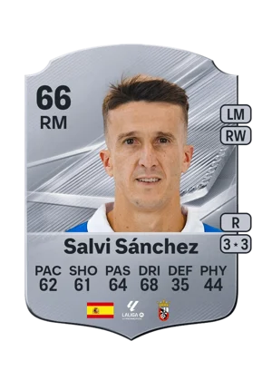 Salvi Sánchez 66 RM