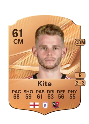 Kite 61 CM