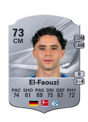 El-Faouzi 73 CM