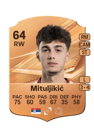 Mituljikić 64 RW