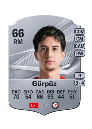 Gürpüz 66 RM