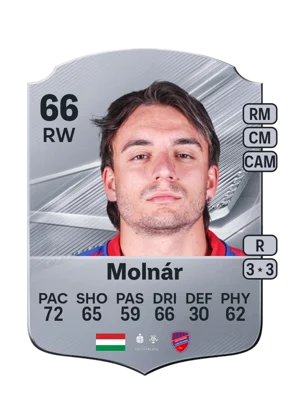 Molnár 66 RW