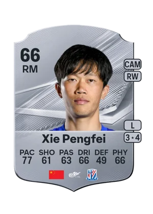 Xie Pengfei 66 RM