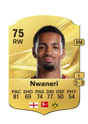 Nwaneri 75 RW