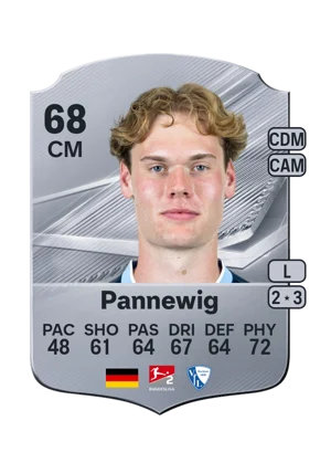 Pannewig 68 CM