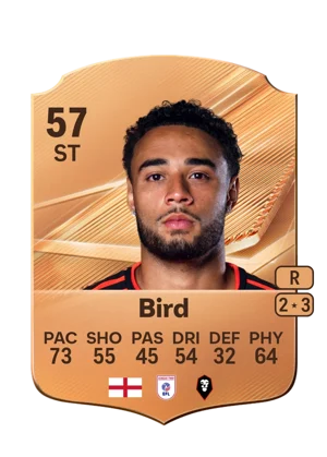 Bird 57 ST