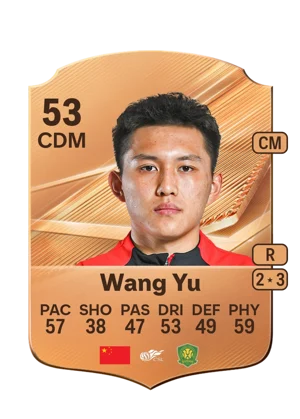 Wang Yu 53 CDM