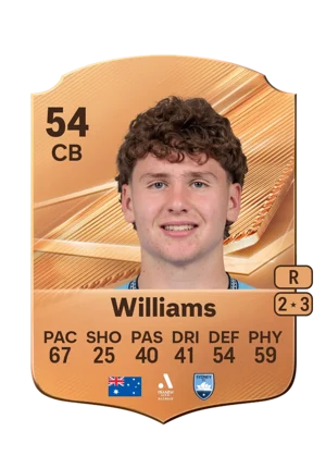 Williams 54 CB