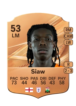 Siaw 53 LM