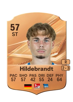 Hildebrandt 57 ST