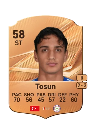 Tosun 58 ST