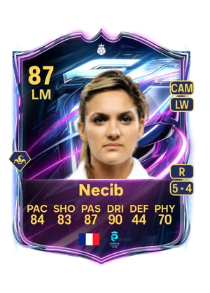 Necib 87 LM