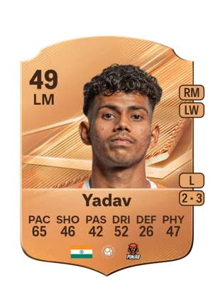 Yadav 49 LM