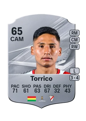 Torrico 65 CAM