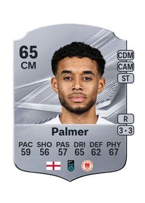 Palmer 65 CM