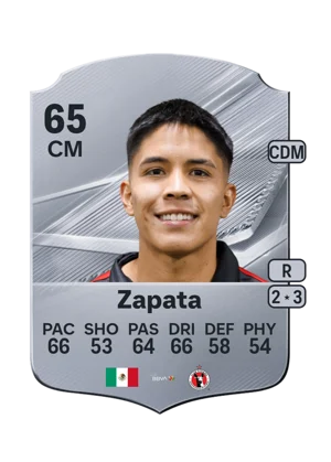 Zapata 65 CM