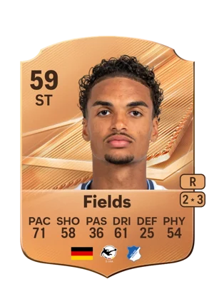 Fields 59 ST