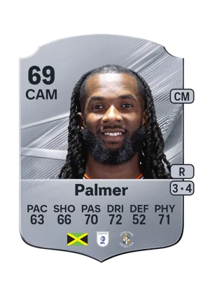 Palmer 69 CAM