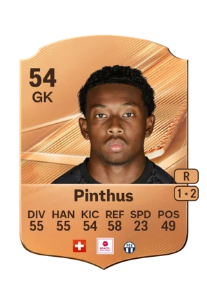 Pinthus 54 GK
