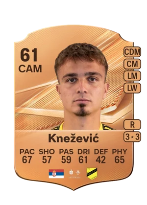 Knežević 61 CAM