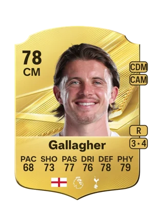Gallagher 78 CM