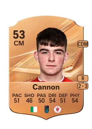 Cannon 53 CM