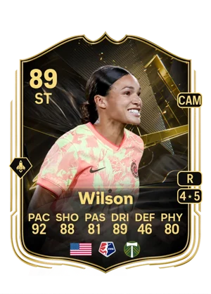 Wilson 89 ST