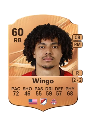 Wingo 60 RB