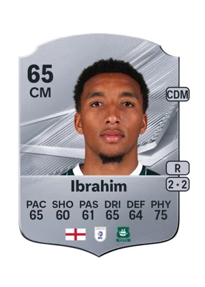 Ibrahim 65 CM