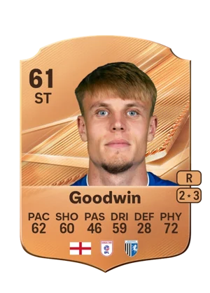 Goodwin 61 ST