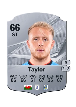 Taylor 66 ST